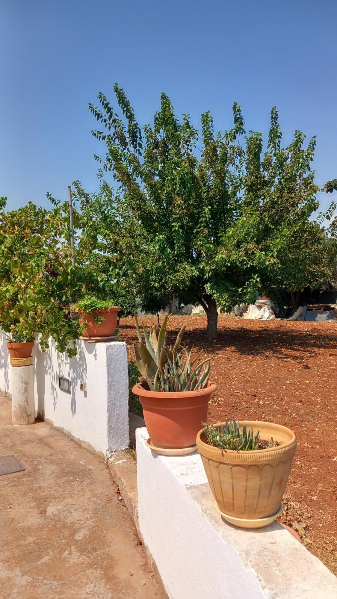 Villetta Balia Corsano (Apulia) Exterior foto